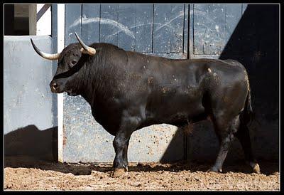 Los toros del Domingo de Resurrección en Las Ventas