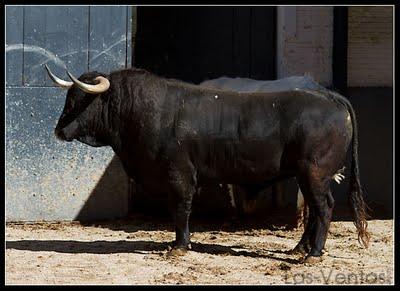 Los toros del Domingo de Resurrección en Las Ventas