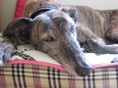 ¡¡Tambores, truenos y miedo, muchísimo miedo!!