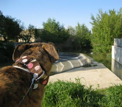 ¡¡Tambores, truenos y miedo, muchísimo miedo!!