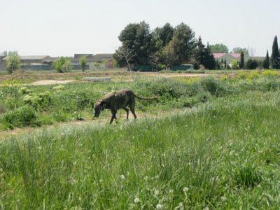 ¡¡Tambores, truenos y miedo, muchísimo miedo!!
