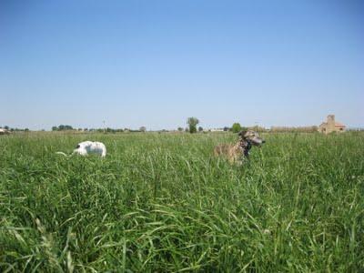 ¡¡Tambores, truenos y miedo, muchísimo miedo!!