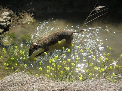 ¡¡Tambores, truenos y miedo, muchísimo miedo!!