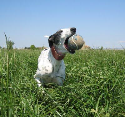 ¡¡Tambores, truenos y miedo, muchísimo miedo!!