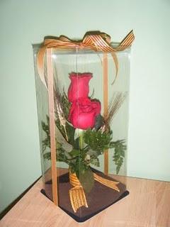 Mi experiencia en Sant Jordi 2011¡¡Mi primer año de Sant ...