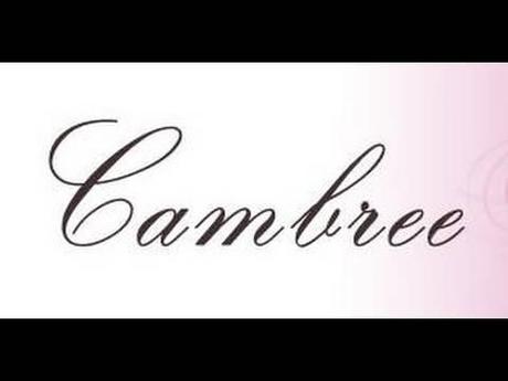 Dónde compro online: hoy, tiendas de maquillaje multimarca.