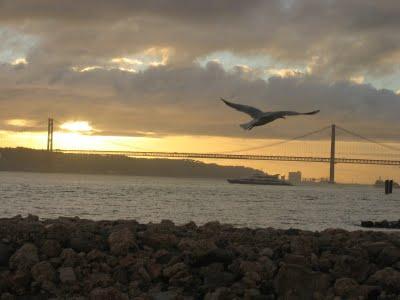 Mandiles azules en Lisboa