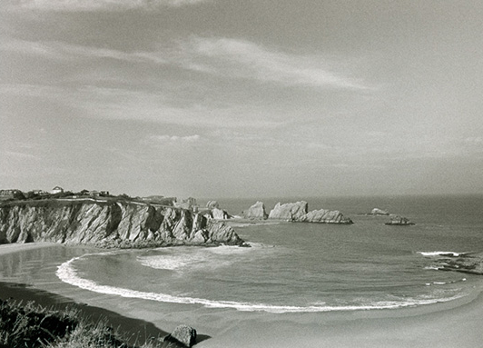 Entre poesía e imágenes