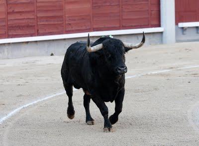 Mucha leña y poca lumbre