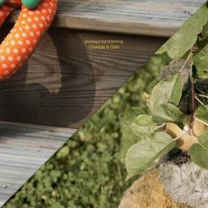 Pulseprogramming - Charade Is Gold Pulseprogramming Charade Is Gold 300x300 Pulseprogramming First They Fire (2011)