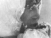 odisea Cabo Nieweg Stalingrado