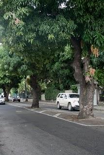 Whole Kitchen: Bavarois de mango y jengibre