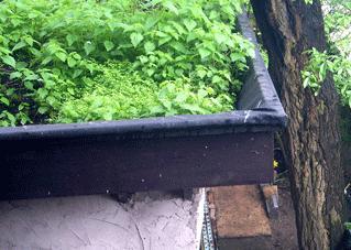 Pañales usados para tejados verdes