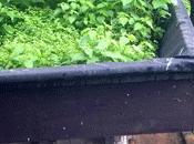 Pañales usados para tejados verdes