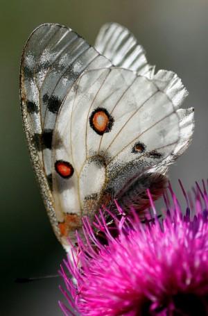 Educación para el nuevo mundo.