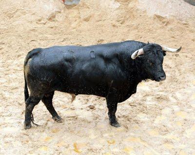 Toros de Dolores Aguirre para mañana