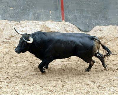 Toros de Dolores Aguirre para mañana