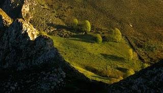 CUANDO LA LUZ IMPORTA