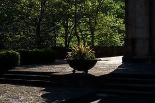 CUANDO LA LUZ IMPORTA