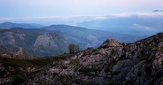 CUANDO LA LUZ IMPORTA