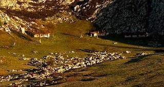 CUANDO LA LUZ IMPORTA