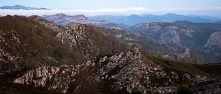 CUANDO LA LUZ IMPORTA