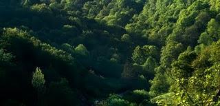 CUANDO LA LUZ IMPORTA