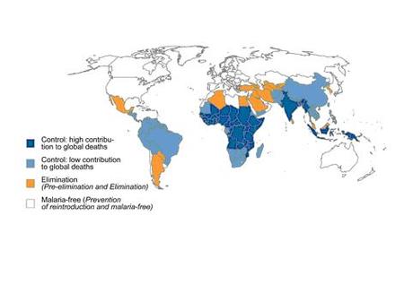 25 de abril, Día Mundial de la Malaria