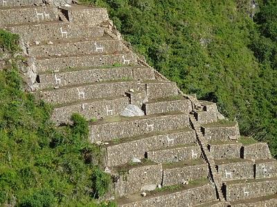 CAMINANDO 9 DIAS DE CHOQUEQUIRAO A MACHUPICCHU