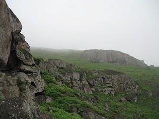 LOMAS DE LUCUMO: UN MILAGRO VERDE EN LIMA