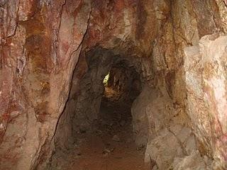 LOMAS DE LUCUMO: UN MILAGRO VERDE EN LIMA