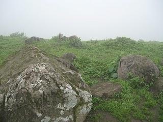 LOMAS DE LUCUMO: UN MILAGRO VERDE EN LIMA