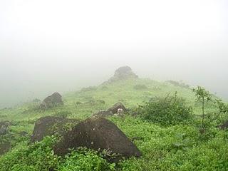 LOMAS DE LUCUMO: UN MILAGRO VERDE EN LIMA