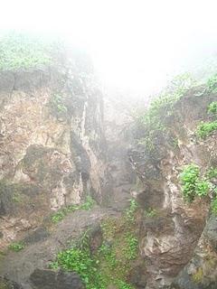 LOMAS DE LUCUMO: UN MILAGRO VERDE EN LIMA