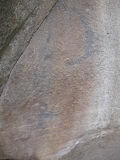 LOMAS DE LUCUMO: UN MILAGRO VERDE EN LIMA