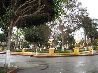 LOMAS DE LUCUMO: UN MILAGRO VERDE EN LIMA