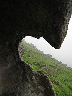 LOMAS DE LUCUMO: UN MILAGRO VERDE EN LIMA