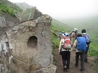 LOMAS DE LUCUMO: UN MILAGRO VERDE EN LIMA