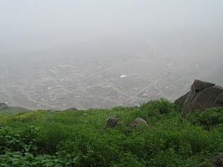 LOMAS DE LUCUMO: UN MILAGRO VERDE EN LIMA