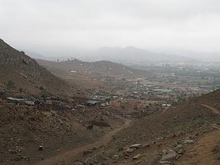 LOMAS DE LUCUMO: UN MILAGRO VERDE EN LIMA