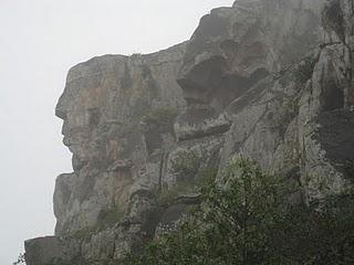 LOMAS DE LUCUMO: UN MILAGRO VERDE EN LIMA