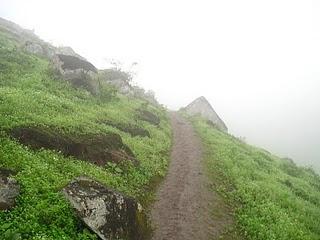 LOMAS DE LUCUMO: UN MILAGRO VERDE EN LIMA