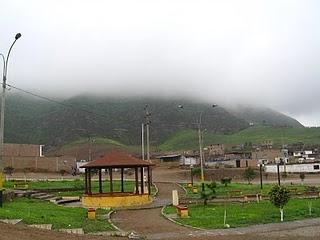 LOMAS DE LUCUMO: UN MILAGRO VERDE EN LIMA