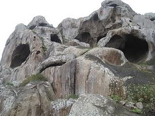 LOMAS DE LUCUMO: UN MILAGRO VERDE EN LIMA