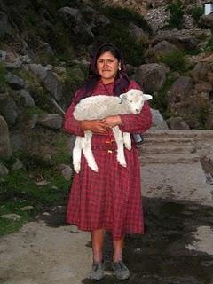 TUPE: ¿QUIEN DIJO QUE TODO ESTA PERDIDO?