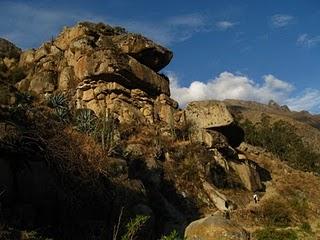 TUPE: ¿QUIEN DIJO QUE TODO ESTA PERDIDO?