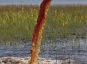 esto cierto...¿Por empiezan repartir depuradoras Oxidación total contaminar agua?