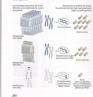 ¿Por qué la medicina no es una ciencia exacta (todavía)?