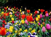 print: flower power