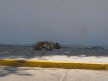 LE QUEDAN 3 DIAS O SI NO TENDRA QUE VOLVER A LA CALLE. MUY URGENTE!!!!